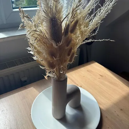 Ferienoase Apartamento Steisslingen